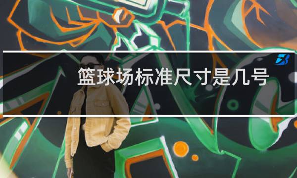 篮球场标准尺寸是几号图片