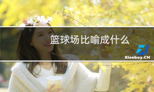 篮球场比喻成什么图片