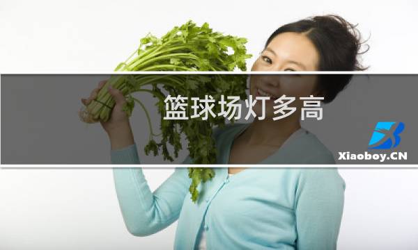 篮球场灯多高图片