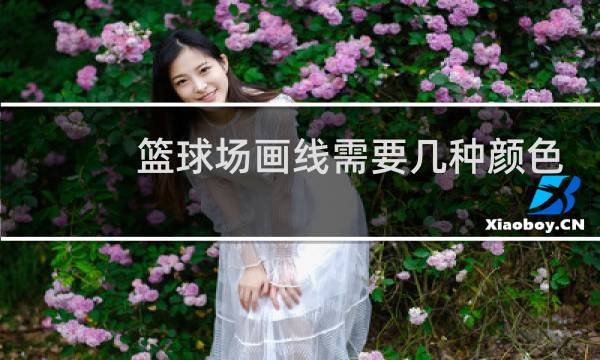 篮球场画线需要几种颜色油漆图片