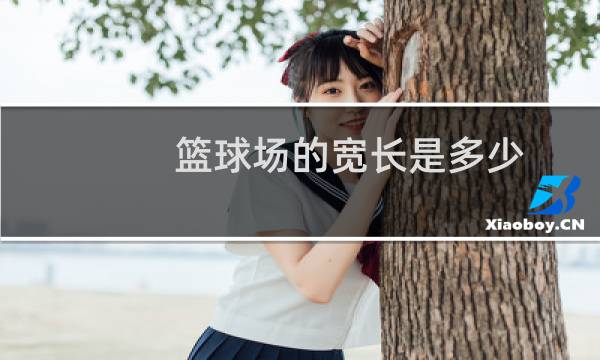 篮球场的宽长是多少图片
