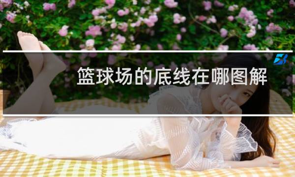 篮球场的底线在哪图解图片