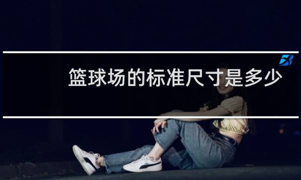 篮球场的标准尺寸是多少平方米图片