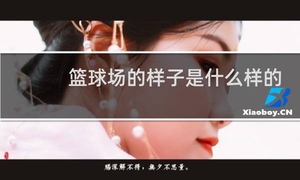篮球场的样子是什么样的图片