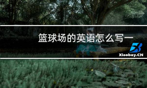 篮球场的英语怎么写一图片