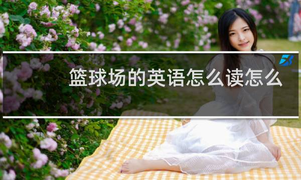 篮球场的英语怎么读怎么写图片
