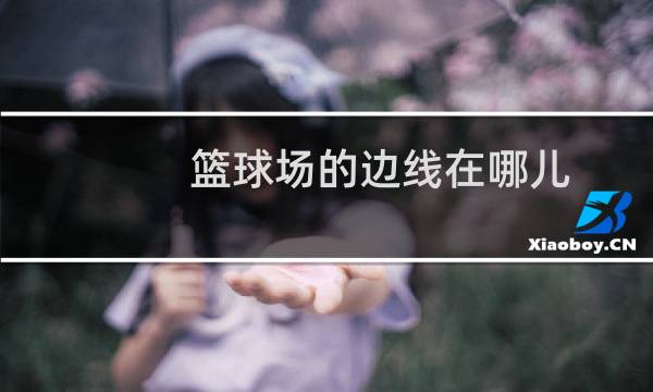 篮球场的边线在哪儿图片