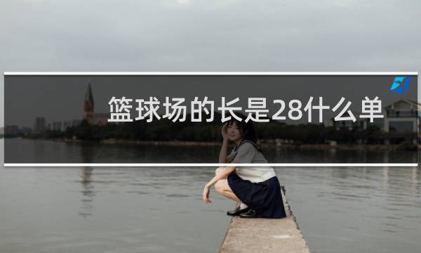 篮球场的长是28什么单位图片