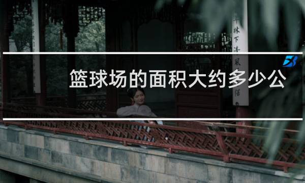 篮球场的面积大约多少公顷图片