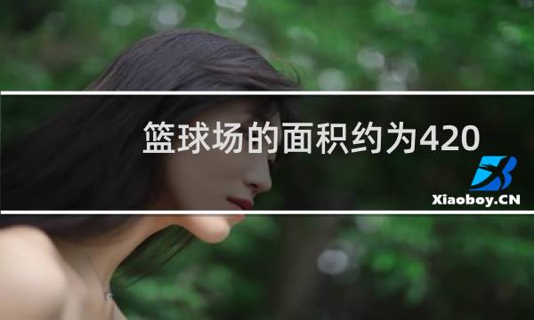 篮球场的面积约为420什么图片