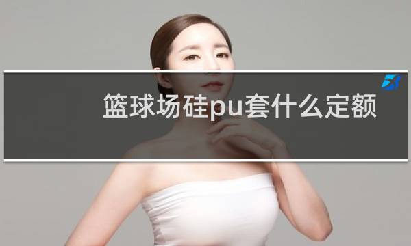 篮球场硅pu套什么定额图片