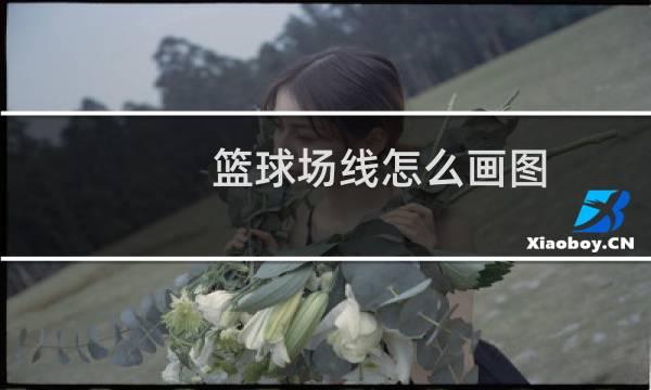 篮球场线怎么画图图片