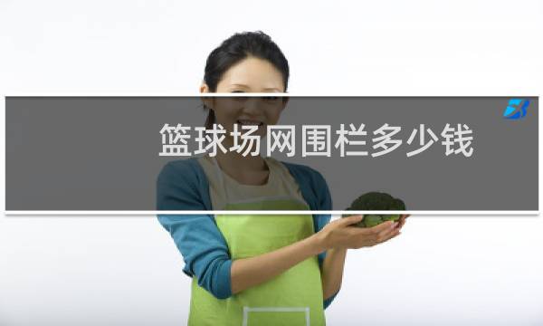 篮球场网围栏多少钱图片