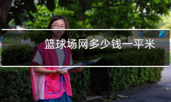 篮球场网多少钱一平米图片