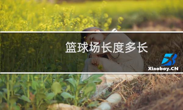 篮球场长度多长图片