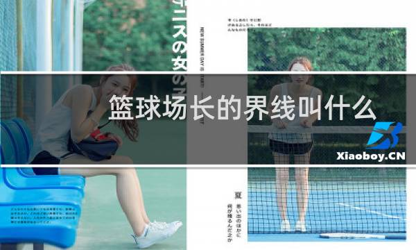 篮球场长的界线叫什么图片