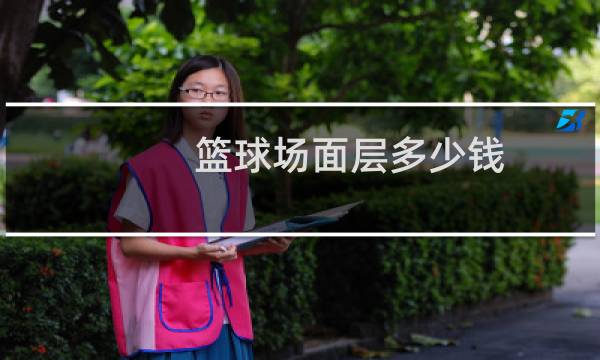 篮球场面层多少钱图片