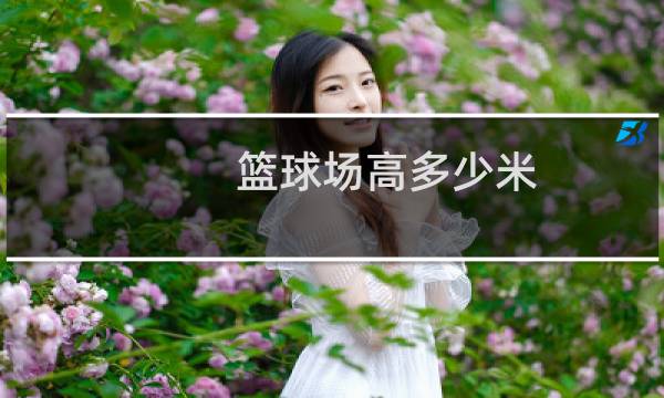 篮球场高多少米图片
