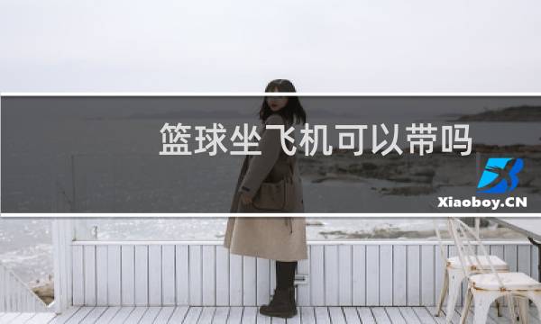 篮球坐飞机可以带吗图片