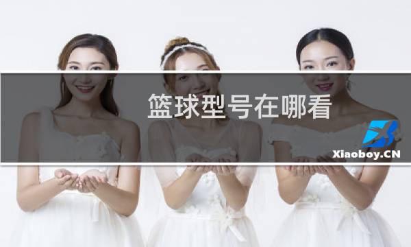 篮球型号在哪看图片