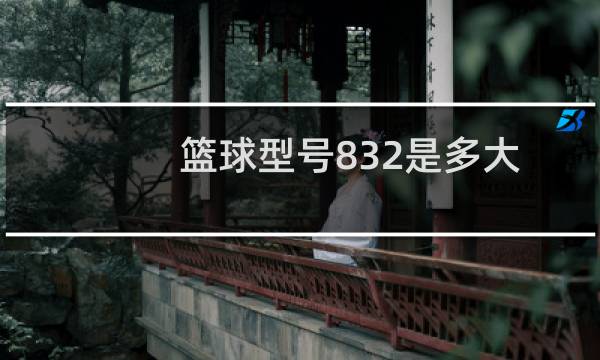 篮球型号832是多大图片