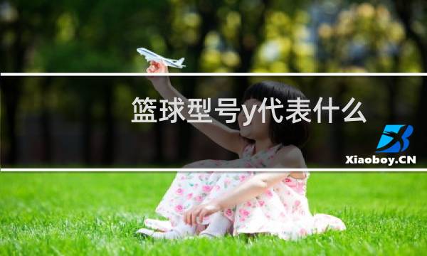 篮球型号y代表什么图片