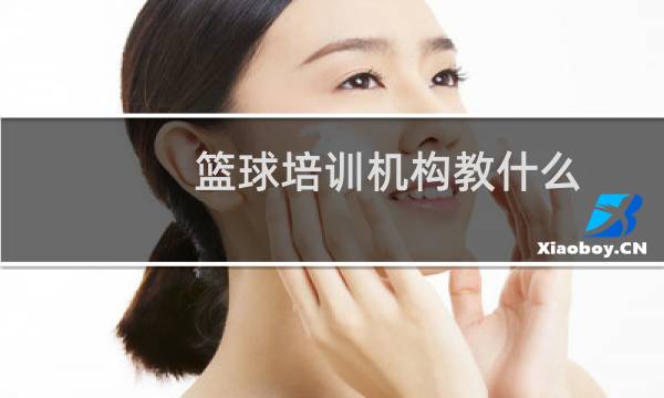 篮球培训机构教什么图片