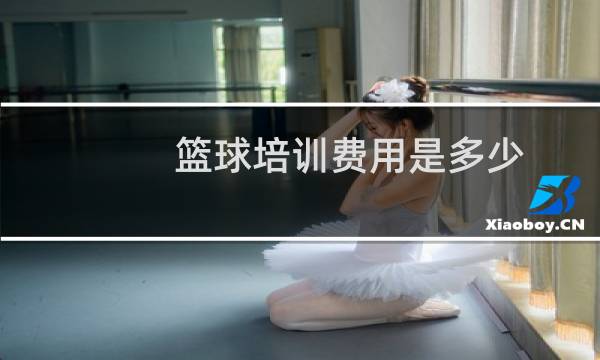 篮球培训费用是多少图片
