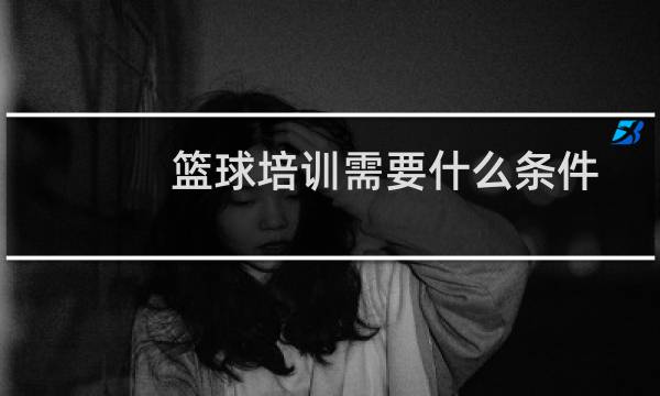 篮球培训需要什么条件图片