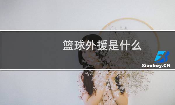 篮球外援是什么图片