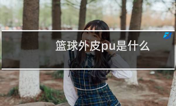 篮球外皮pu是什么图片