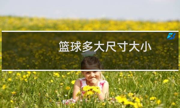 篮球多大尺寸大小图片