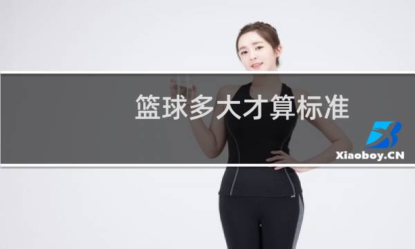 篮球多大才算标准图片