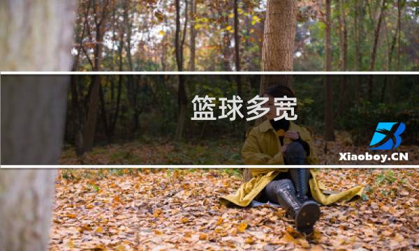 篮球多宽图片