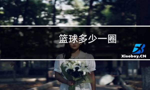 篮球多少一圈图片