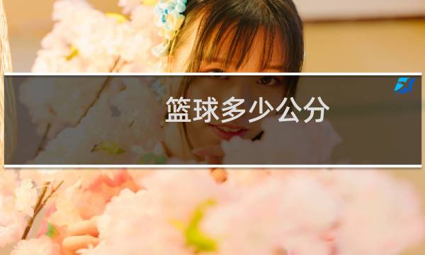 篮球多少公分图片