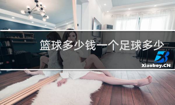 篮球多少钱一个足球多少钱一个试题图片