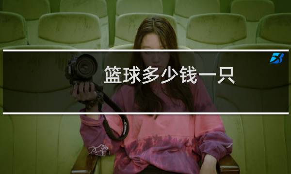 篮球多少钱一只图片
