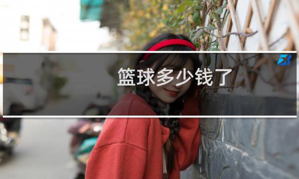 篮球多少钱了图片