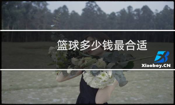 篮球多少钱最合适图片