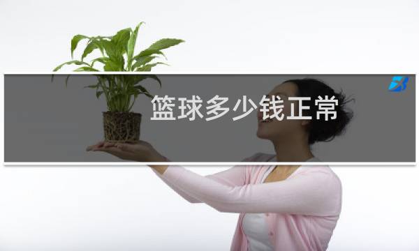 篮球多少钱正常图片