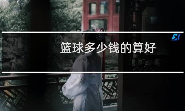 篮球多少钱的算好图片