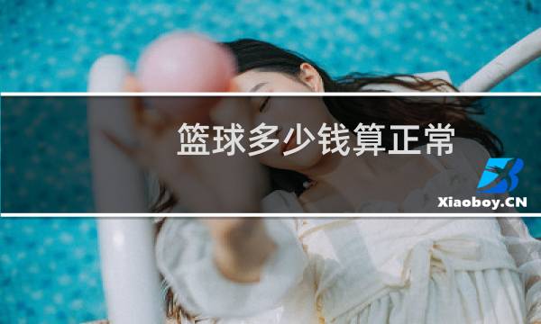 篮球多少钱算正常图片