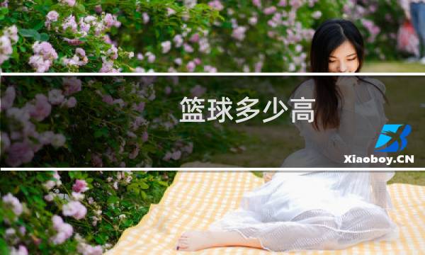 篮球多少高图片