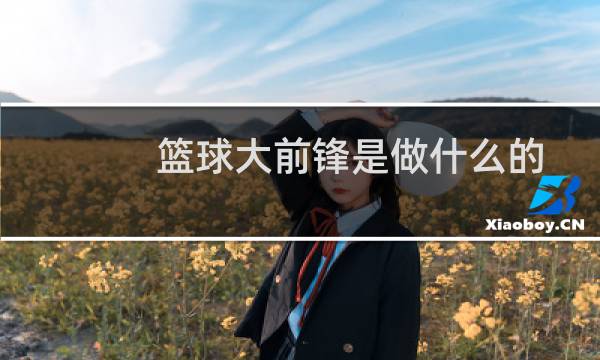 篮球大前锋是做什么的图片