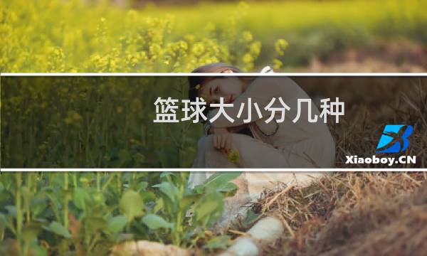 篮球大小分几种图片