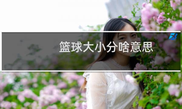 篮球大小分啥意思图片