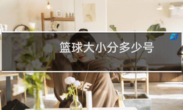 篮球大小分多少号图片