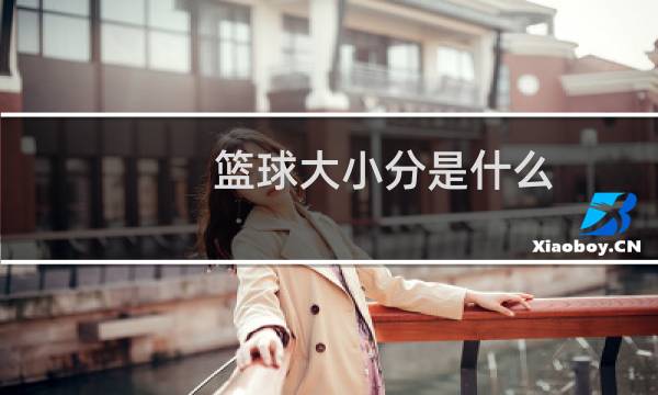 篮球大小分是什么图片