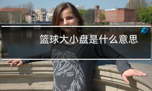 篮球大小盘是什么意思图片